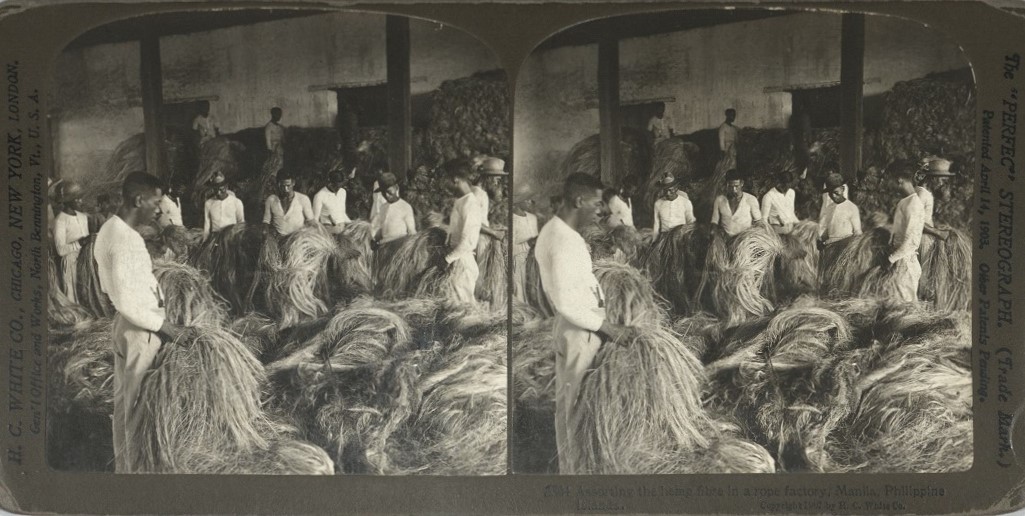 Assorting the hemp fibre in a rope factory, Manila, Philippine Islands.
